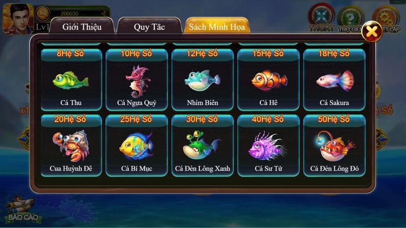 Các phần thưởng giá trị chờ đón bạn